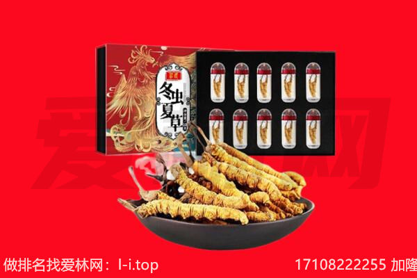 丽江回收虫草.jpg